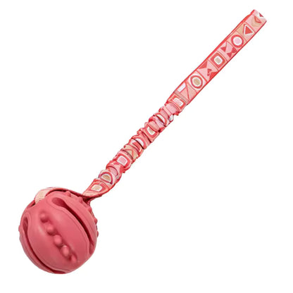 Interactive Dog Toy Natural Rubber Ball Textured Teeth Cleaning Elastic Bungee Strap Bonding With Owner for All Breeds