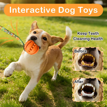 Interactive Dog Toy Natural Rubber Ball Textured Teeth Cleaning Elastic Bungee Strap Bonding With Owner for All Breeds