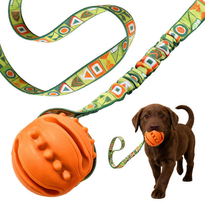 Interactive Dog Toy Natural Rubber Ball Textured Teeth Cleaning Elastic Bungee Strap Bonding With Owner for All Breeds