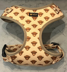 Highland Hound Harness