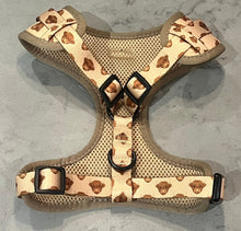 Highland Hound Harness