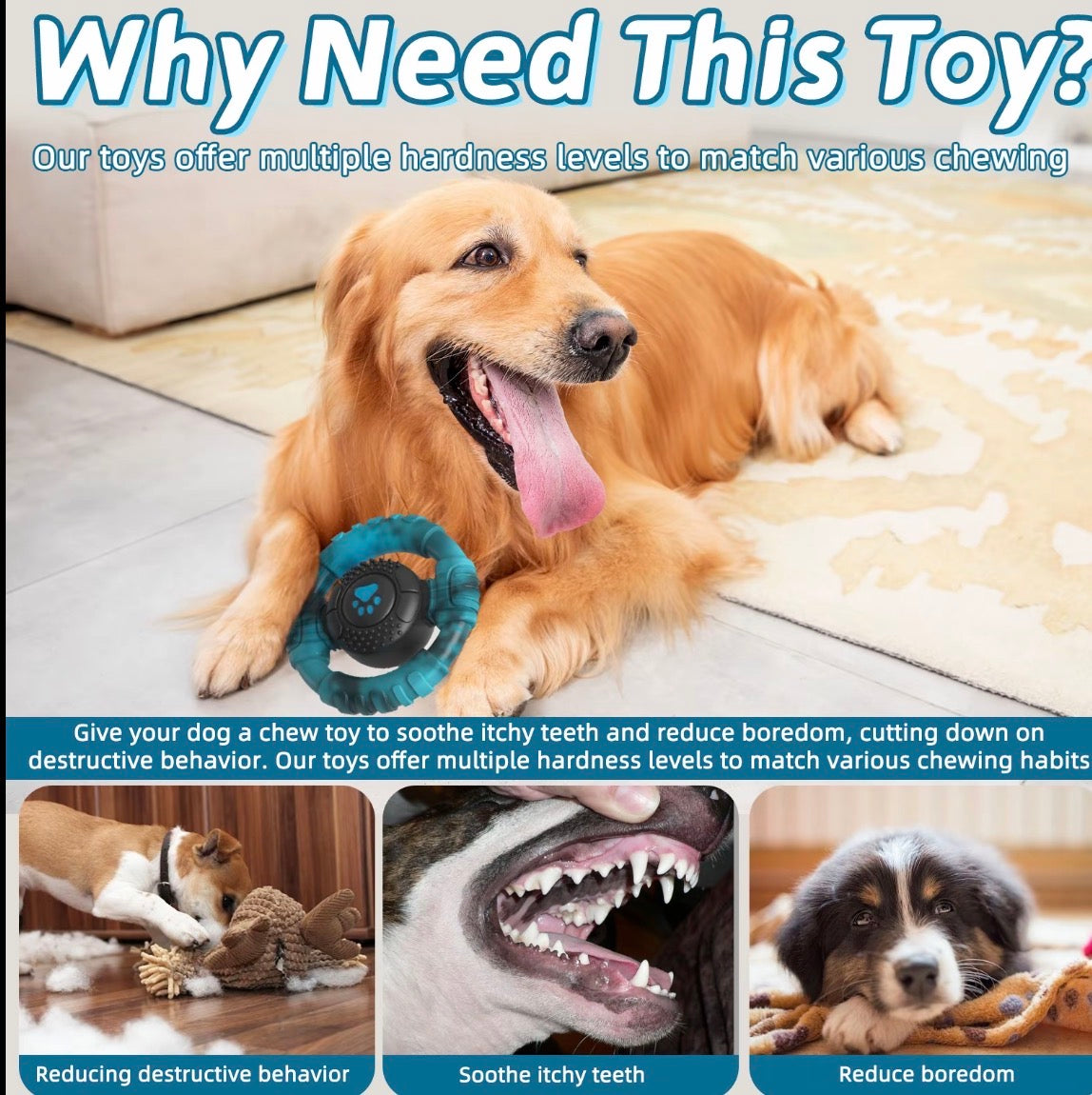 Pet Monty Dog Chew Toys for Aggressive Chewers, Durable Nylon & Rubber Dog Toy, Tough Interactive Dog Chew Toy with Squeaker, Long-Lasting Dog Chews to Keep Dogs Busy