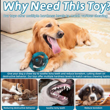 Pet Monty Dog Chew Toys for Aggressive Chewers, Durable Nylon & Rubber Dog Toy, Tough Interactive Dog Chew Toy with Squeaker, Long-Lasting Dog Chews to Keep Dogs Busy