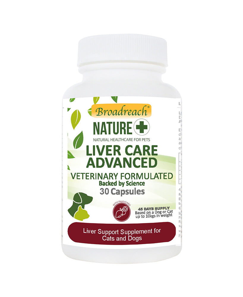 Liver Care Advanced for Dogs, Cats, Puppies and Kittens – 30 and 90 sprinkle capsules