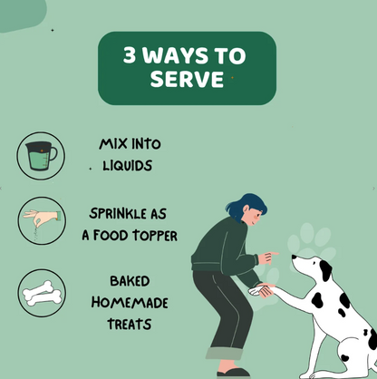 Seaweed Kelp Powder for Dogs & Cats