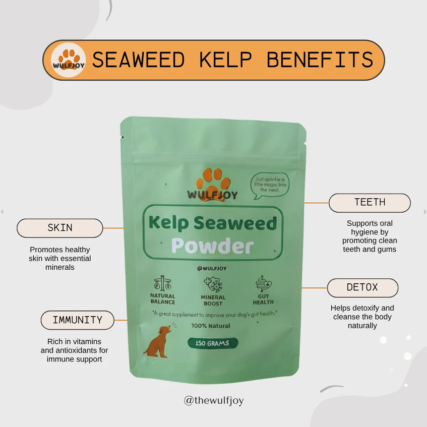 Seaweed Kelp Powder for Dogs & Cats