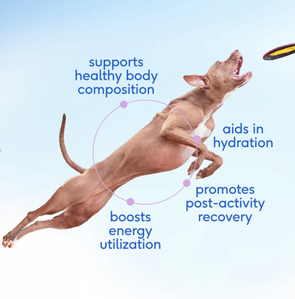 Premium Goat Milk Powder