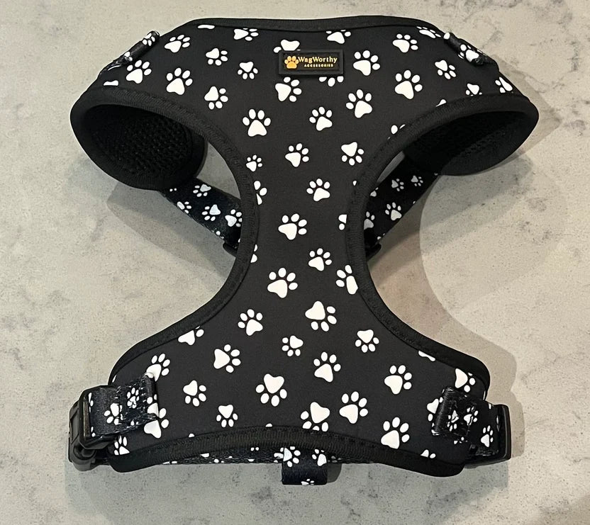 Midnight Paws Dog harness