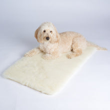 100% English Wool Pet Mat