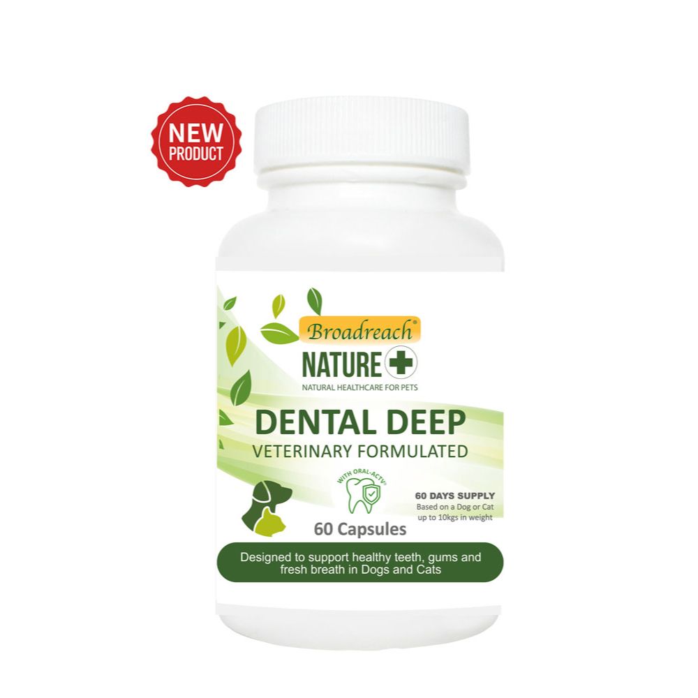 Dental Deep for Dogs, Cats, Puppies and Kittens – 60 Capsules