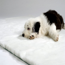 Vet Bed Mixed Deals
