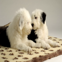 Vet Bed Mixed Deals