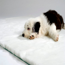 Traditional Vet Bedding Roll - White