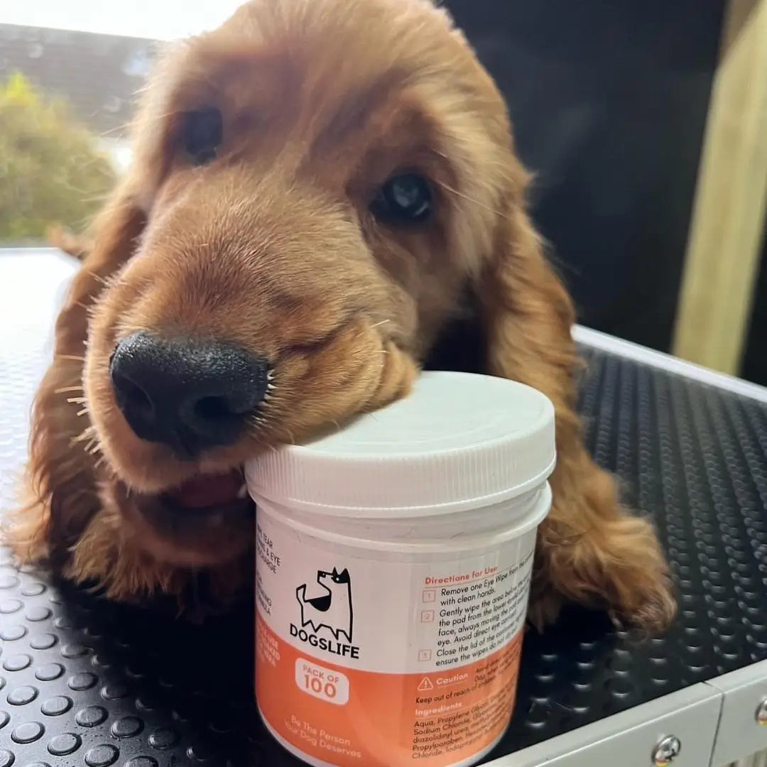 Eye Wipes For Dogs