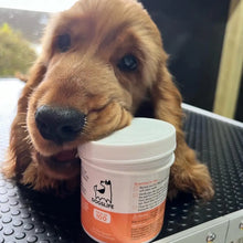 Eye Wipes For Dogs