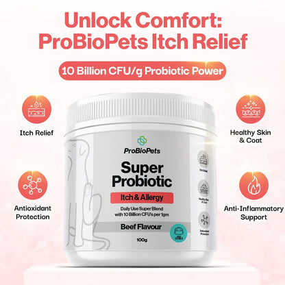 Itch & Allergy Probiotic For Pets
