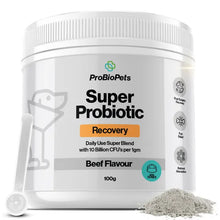 Recovery Probiotic For Pets