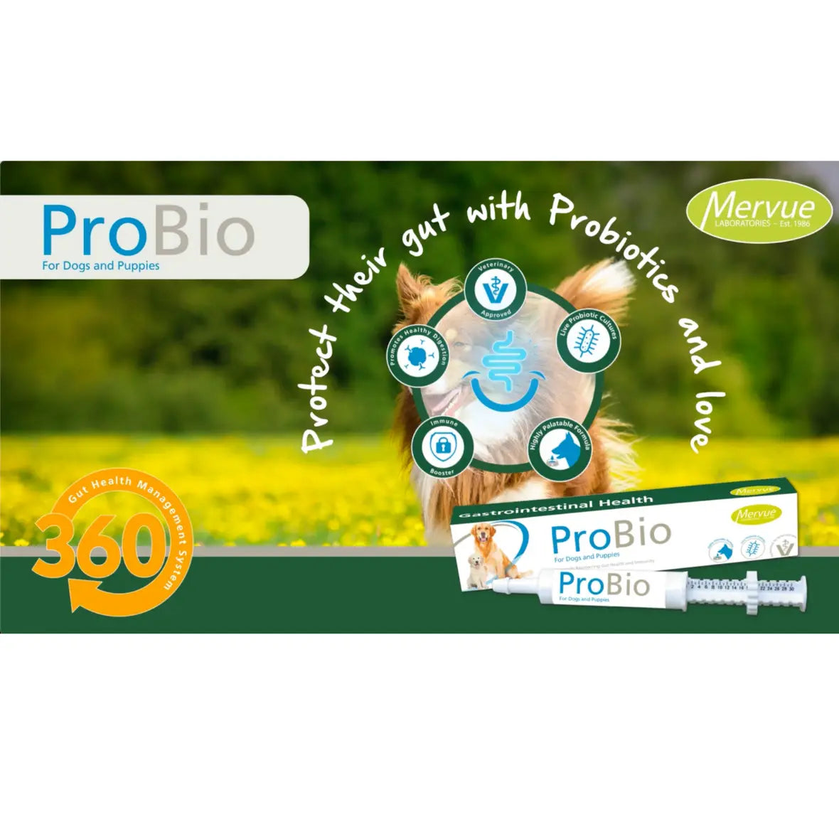 Probio Paste For Dogs & Puppies