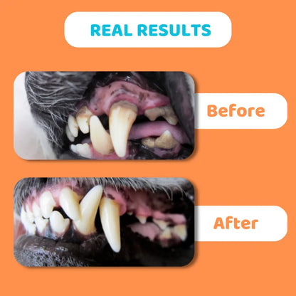 Toothpaste For Dogs