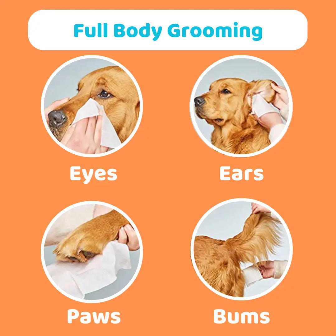 Scented Dog Wipes