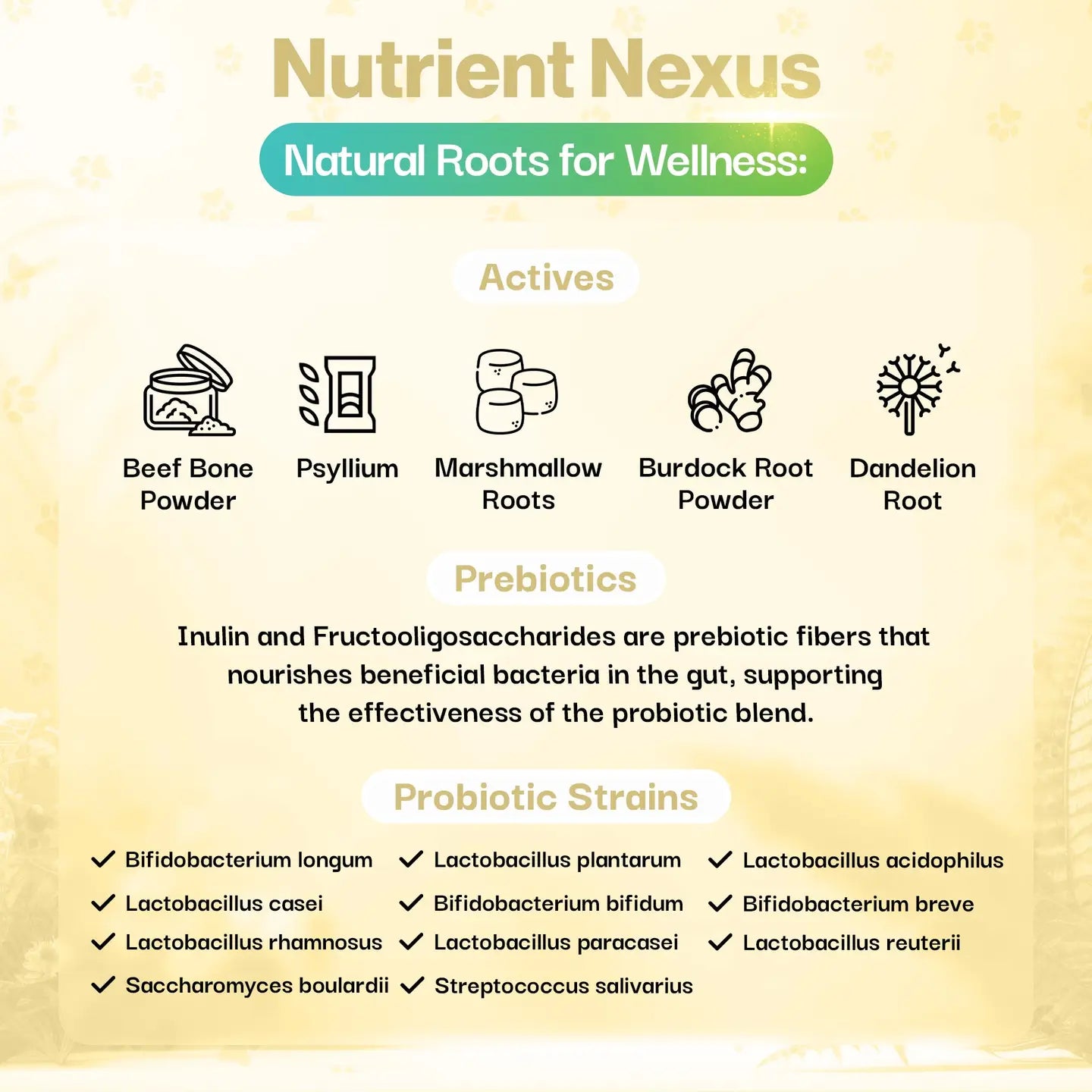 Skin & Coat Probiotic For Pets