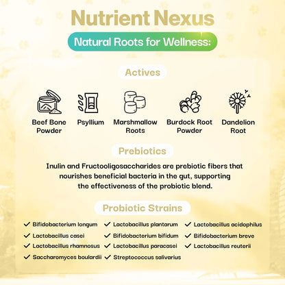 Skin & Coat Probiotic For Pets