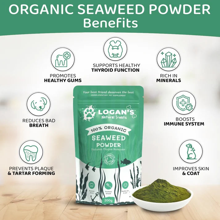 Organic Seaweed Powder for Dogs & Cats