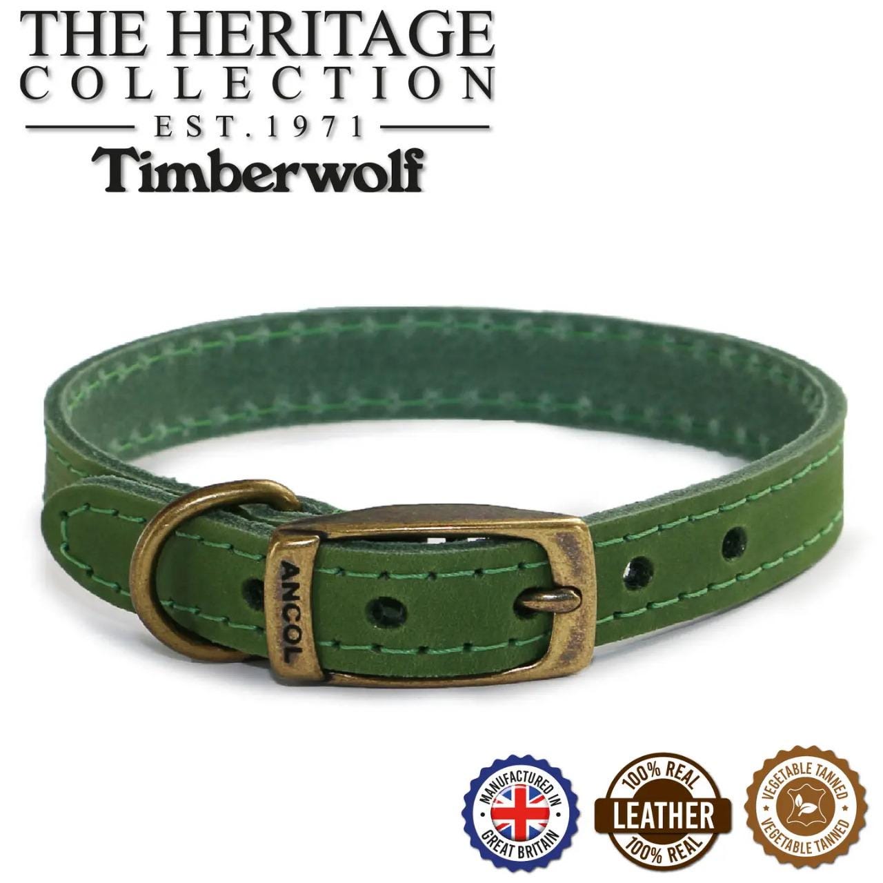 best dog collar