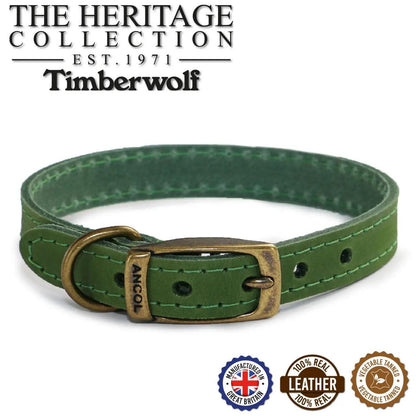 best dog collar
