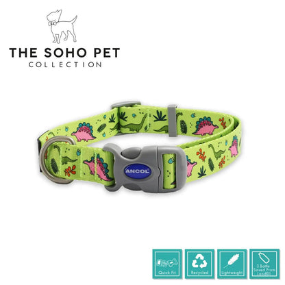collar on dog