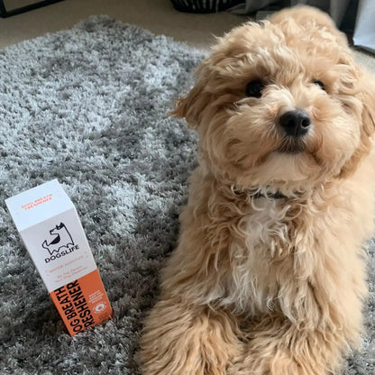 Dog Dental Water Additive