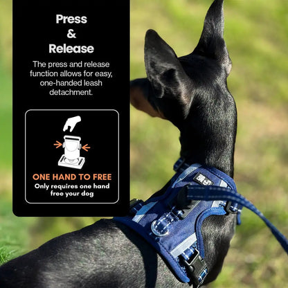 Easy Lock Magnetic Harness & Lead Set