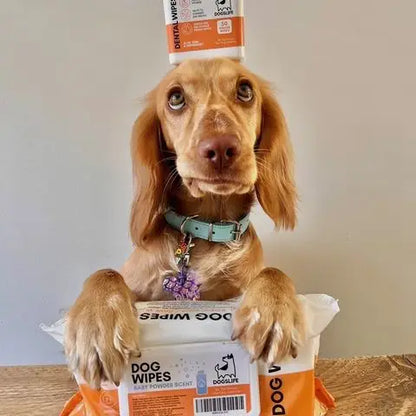 Scented Dog Wipes