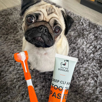 Dog Toothpaste and Toothbrush Set