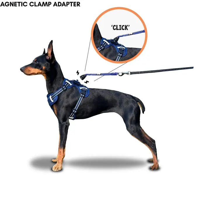 Easy Lock Magnetic Harness & Lead Set