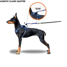 Easy Lock Magnetic Harness & Lead Set
