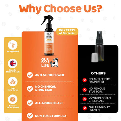 Kennel Cleaner Disinfectant For Dogs