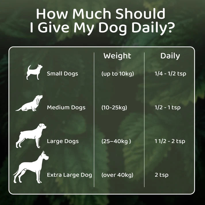 Nettle Powder for Dogs & Cats