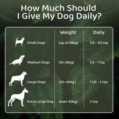 Nettle Powder for Dogs & Cats
