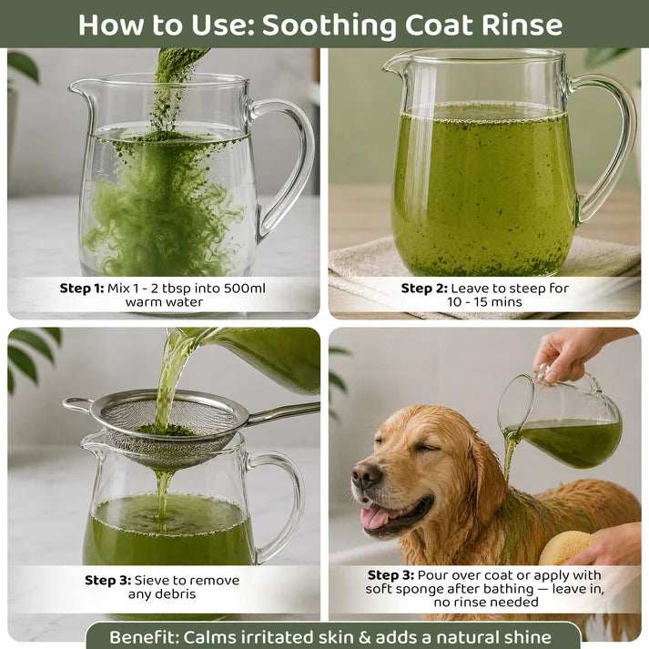 Nettle Powder for Dogs & Cats
