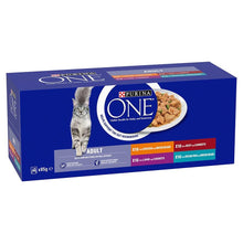 Purina ONE Adult Mini Fillets Wet Cat Food Gravy 40x85g