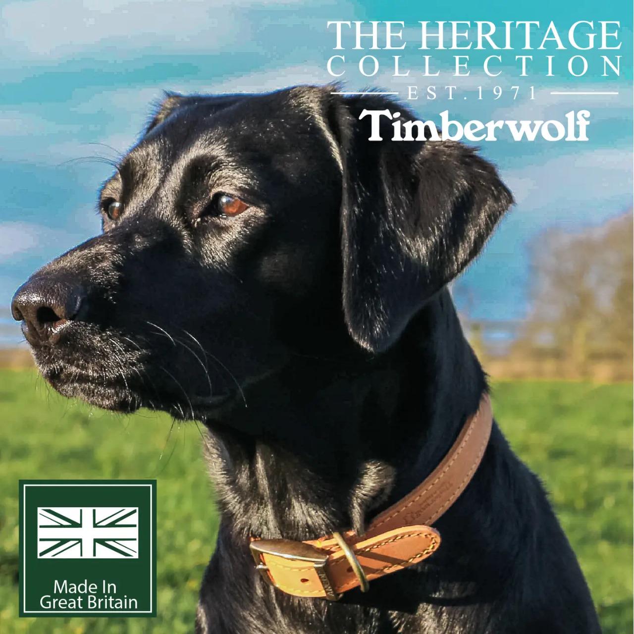 Timberwolf Leather Collar Mustard