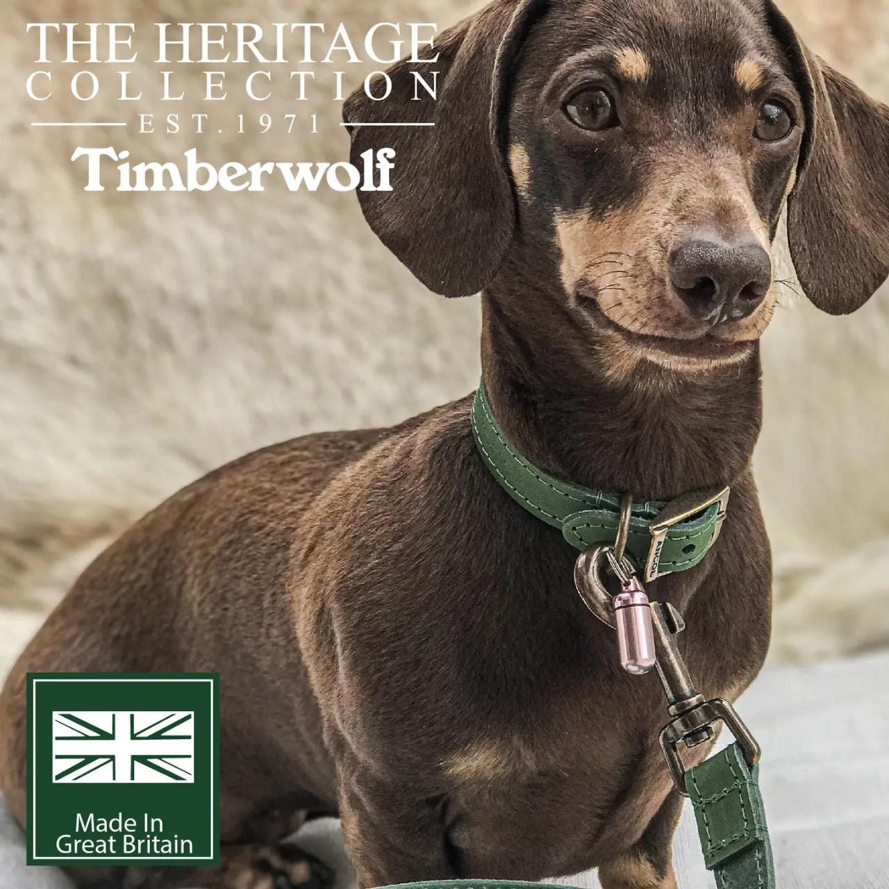 Timberwolf Leather Collar Green