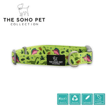 Soho Pet Collection Dinosaur Patterned Collar 45-70cm