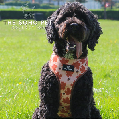 Maple Leaf & Woodland Pattern Reversible Dog Harness