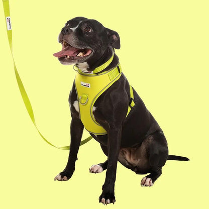 Adjustable Airmesh Dog Harness