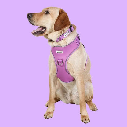 Adjustable Airmesh Dog Harness