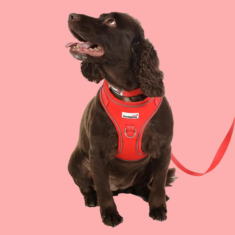 Adjustable Airmesh Dog Harness