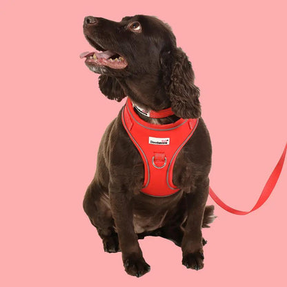 Adjustable Airmesh Dog Harness