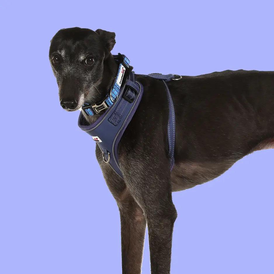 Adjustable Airmesh Dog Harness